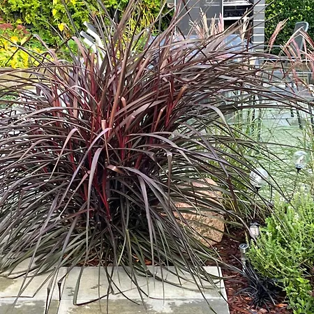 Bela - Apartamenty, Z Aneksami, Parking *