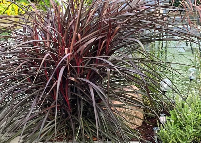 Bela - Apartamenty, Z Aneksami, Parking *